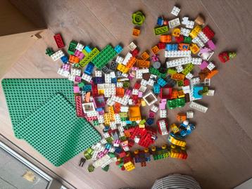 Grote Bak Lego Duplo + 2 Grondplaten beschikbaar voor biedingen
