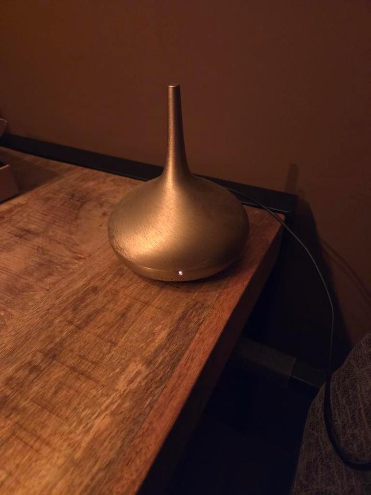 Rituals The Perfume Genie 2.0, Antiek en Kunst, Kunst | Designobjecten, Ophalen