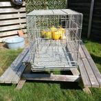 Bench8, Dieren en Toebehoren, Ophalen of Verzenden