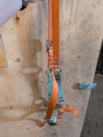 Biothane halsters 3x full 25 euro, Ophalen of Verzenden, Zo goed als nieuw
