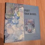 Boek- Piet van Boxtel - Haags palet, Ophalen of Verzenden, Zo goed als nieuw, Schilder- en Tekenkunst