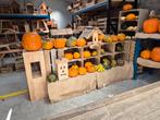 Halloweenpompoenen, Ophalen, Nieuw