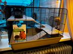 Nieuwe hamsterkooi met huisjes, Dieren en Toebehoren, Knaagdieren en Konijnen | Hokken en Kooien, Kooi, Hamster, Ophalen, Minder dan 60 cm