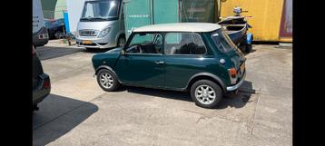 Mini 1000 1.0 E S6 1988 Wit beschikbaar voor biedingen