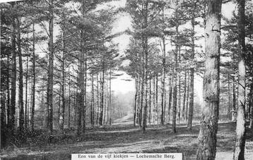 (387-200-049) Lochem Lochemse Berg beschikbaar voor biedingen