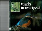 Vogels in Overijssel, Ophalen of Verzenden, Gelezen