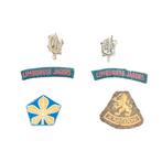 Oud Nederlands Emblemen Set Limburgse Jagers, Verzamelen, Militaria | Algemeen, Ophalen of Verzenden, Landmacht, Nederland, Embleem of Badge