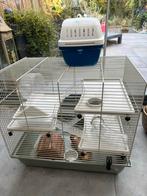 Hamsterkooi, Ophalen, Kooi, 60 tot 90 cm, Minder dan 75 cm