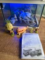 Tetra led aquarium 20 ltr, Dieren en Toebehoren, Ophalen, Gebruikt, Leeg aquarium