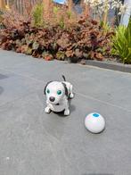 Silverlit YCOO Robot Robo Dackel Jr, Ophalen, Zo goed als nieuw, Jongen