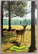 Bungalowpark Het Roekenbosch, Blitterswijck, Ophalen of Verzenden, Gelopen, Limburg