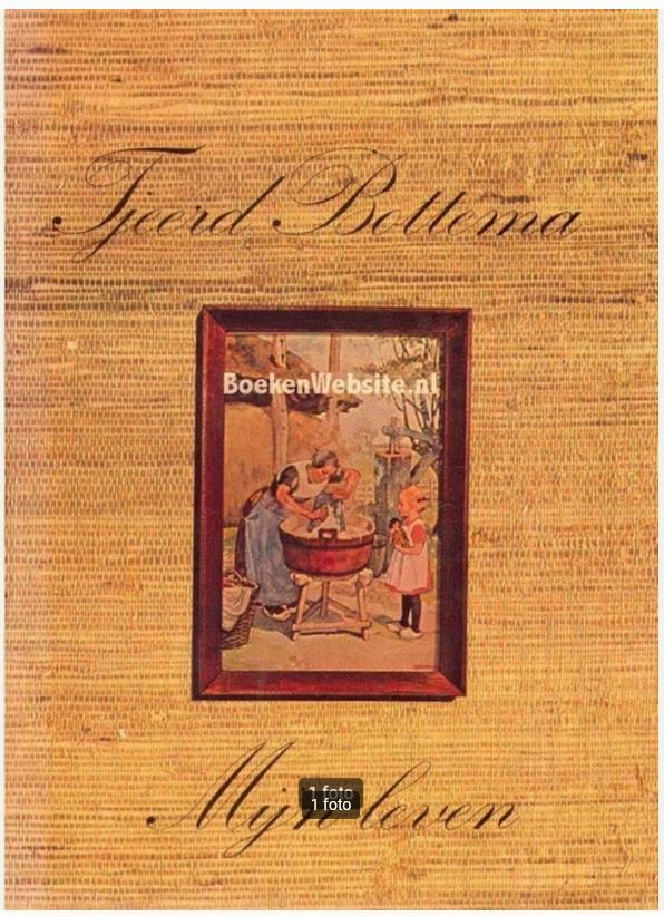 Tjeerd Bottema mijn leven - Lykele Jansma, Ophalen of Verzenden, Zo goed als nieuw, Schilder- en Tekenkunst