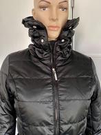 i590 River Woods maat XS=34 winterjas jas jack winter zwart, River Woods, Zwart, Ophalen of Verzenden, Zo goed als nieuw