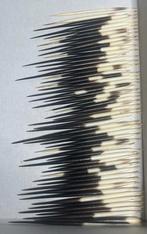 Stekelvarkenstekels - Hystrix cristata - 10x15x1 cm, Verzenden, Zo goed als nieuw, Wild dier, Overige typen