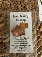 Pocket hugs kikker, egel, paddenstoel, capibara, Ophalen of Verzenden, Nieuw