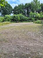 Plek vrij voor 2 shetlanders of a-pony's in Oud Gastel, Dieren en Toebehoren, Stalling en Weidegang, Weidegang, 2 of 3 paarden of pony's