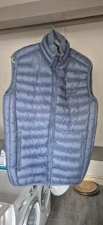 Bodywarmer malelions, Ophalen of Verzenden, Zo goed als nieuw, Zwart
