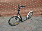 Alpina step met grote wielen 20 inch, Ophalen, Gebruikt, Gewone step, Alpina