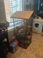 Vogelkooi met heeeeeel veel accessoires, Dieren en Toebehoren, Ophalen