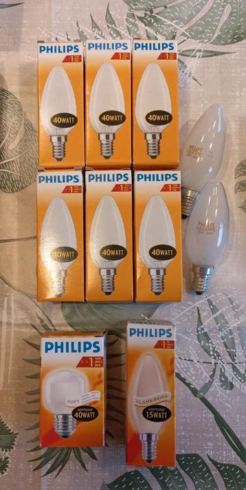 Groot pakket lampen (gloei en hallogeen) beschikbaar voor biedingen
