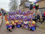 carnavalskleding loopgroep 14 personen - 7 om 7., Kleding | Dames, Carnavalskleding en Feestkleding, Ophalen, Carnaval, Maat 46/48 (XL) of groter