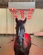 Nieuw Infrarood Paarden Solarium, Ophalen of Verzenden, Nieuw