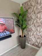 Elho bloempot bloemvaas taupe kleur, Ophalen of Verzenden, Rond, Kunststof, Balkon