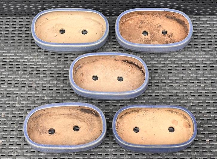 Bonsai schalen blauw geglazuurd Chinees aardewerk., Tuin en Terras, Bloempotten, Zo goed als nieuw, Aardewerk, Minder dan 40 cm