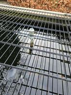 Fontein vijver 2 stuks, Ophalen