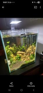 Aquarium, Dieren en Toebehoren, Ophalen, Gebruikt, Leeg aquarium