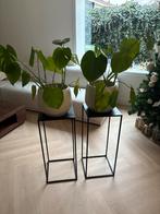 Plantentafeltjes/zuil inclusief vaas met planten 2 stuks, Huis en Inrichting, Woonaccessoires | Zuilen en Pilaren, Ophalen of Verzenden