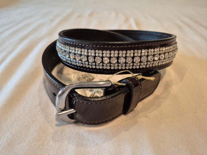 Riem Showtime, Dieren en Toebehoren, Paardrijkleding, Nieuw, Overige typen, Ophalen of Verzenden
