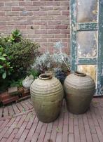 Oude olijfkruiken, Ophalen
