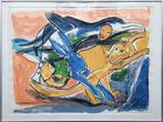 Hond & Haas 83/250 - Kunstenaar: Anton Vrede, Antiek en Kunst, Kunst | Litho's en Zeefdrukken, Ophalen of Verzenden