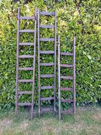 3 houten fruitladders schildersladders, Ophalen, Gebruikt
