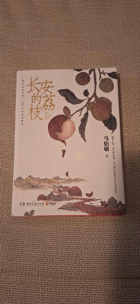 The Lychee Road - Chinees leren, Boeken, Romans, Zo goed als nieuw, Wereld overig, Ophalen of Verzenden