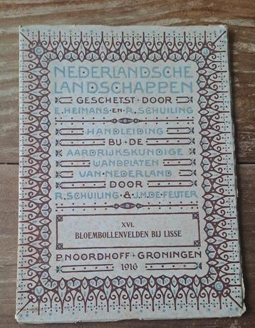 Bloembollenvelden bij Lisse. Handleiding bij wandplaat. beschikbaar voor biedingen