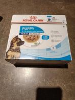 Royal Canin Maxi Puppy, Dieren en Toebehoren, Dierenvoeding, Ophalen, Hond