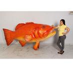 Giant Coral Trout 141 cm - koraalvis beeld, Ophalen, Nieuw