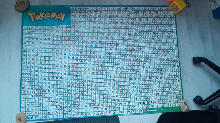 1 Grote Pokémon poster, Verzamelen, Posters, Gebruikt, Film en Tv, Deurposter of groter, Rechthoekig Liggend, Ophalen