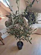 Olijfboom ikea, Huis en Inrichting, Woonaccessoires | Kunstplanten en Kunstbloemen, Ophalen, Zo goed als nieuw