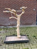 Papegaaien kooi + Java boom, Dieren en Toebehoren, Ophalen of Verzenden, Gebruikt, Metaal, Vogelkooi