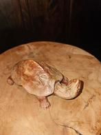 Houten Schildpad Beeldje, Antiek en Kunst, Ophalen of Verzenden