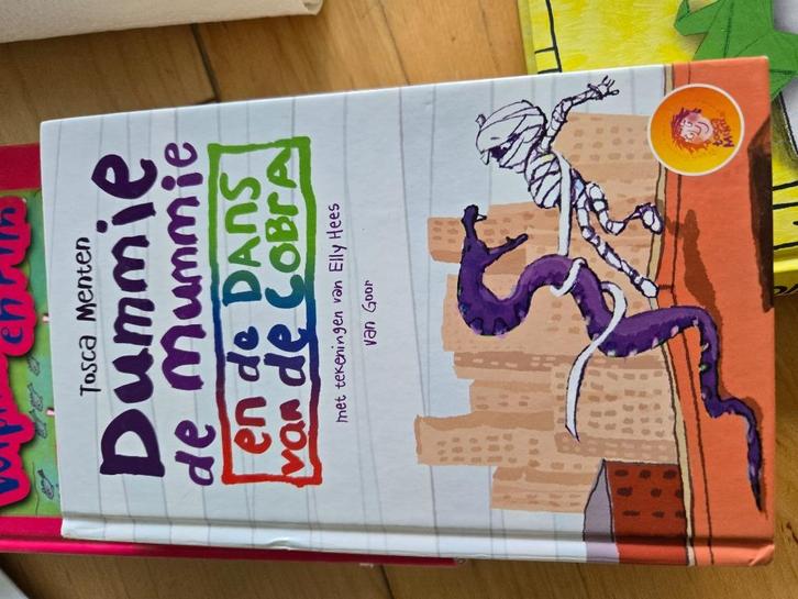 Kinderboeken, Boeken, Kinderboeken | Jeugd | 10 tot 12 jaar, Zo goed als nieuw, Fictie, Ophalen of Verzenden