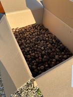 Walnoten biologisch 2025, Ophalen