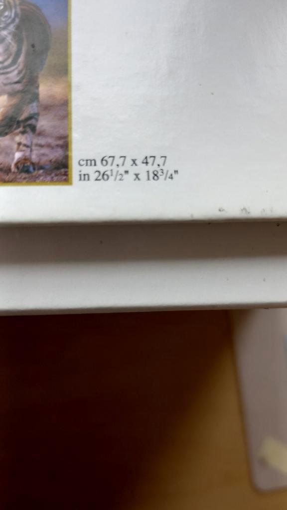 2 Puzzels Clementoni 2x1000 in Originele Doos, Hobby en Vrije tijd, Denksport en Puzzels, Zo goed als nieuw, Legpuzzel, 500 t/m 1500 stukjes