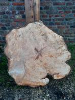 Kastanje boomschijf diameter 64, Tuin en Terras, Haardhout, Minder dan 3 m³, Ophalen of Verzenden
