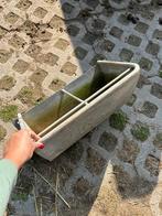 Gegalvaniseerde voerbakken, Dieren en Toebehoren, Meerdere dieren, Schaap