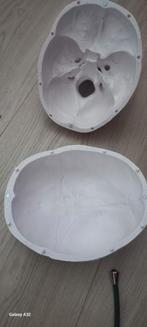 Schedel mens afgietsel, Ophalen of Verzenden, Nieuw, Paard, Schedel