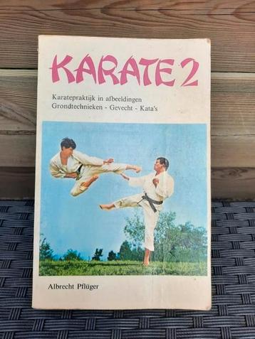 Karate 2 by Albrecht Pflüger beschikbaar voor biedingen